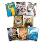 Pigna Animal Set da 20 Pezzi Quaderni quadernoni Maxi 4F A4 Quadretti 80g/mg