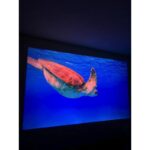 Proiettore Videoproiettore 4K UHD Wifi 5G Android 13 CPU Fast 180ANSI HDMI USB - immagine 5