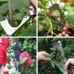 Legatrice Pinza Piante Orto Vigneto Verdura Kit con 6 Rotoli e 10000 Graffette - immagine 5