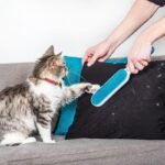 Spazzola togli peli animali cani gatti vestiti divano auto rimuovi pelucchi - immagine 2