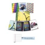 Pigna 10 Quaderni Quadernini Quaderno piccolo A5 80g/m2 a Righe 2030774 0C - immagine 2