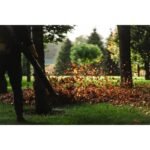 Soffiatore a Batteria 2200W senza fili giardino prato foglie - immagine 5