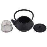 Teiera in ghisa stile giapponese filtro tisaniera infusore te tisana the 800 ml - immagine 3