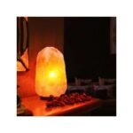 Lampada di sale rosa dell'Himalaya naturale salgemma legno dimmerabile 5-7 kg - immagine 5